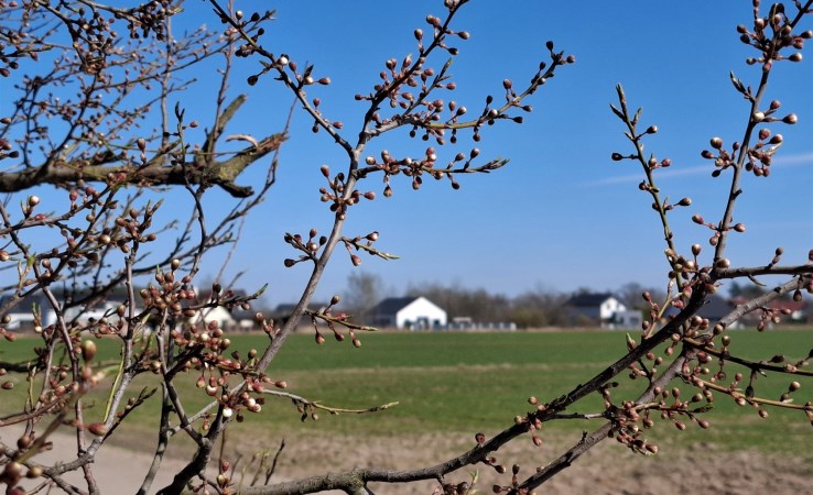 działka na sprzedaż - Swarzędz (gw), Katarzynki